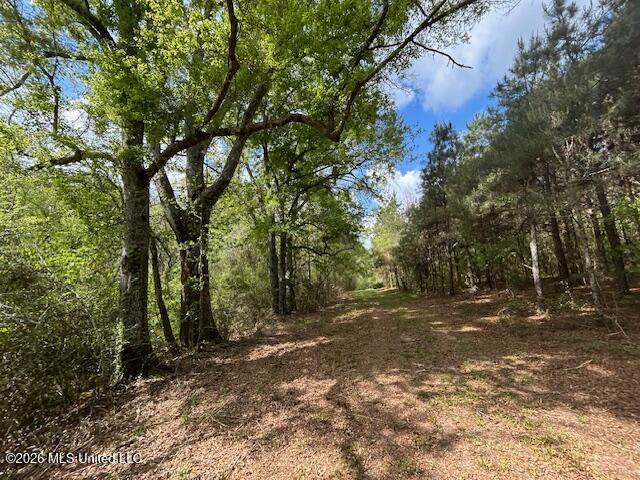Mississippi 583 Property Photo 72
