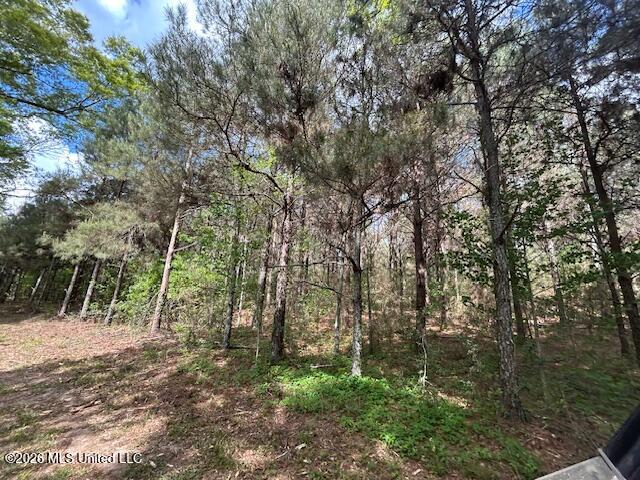 Mississippi 583 Property Photo 73