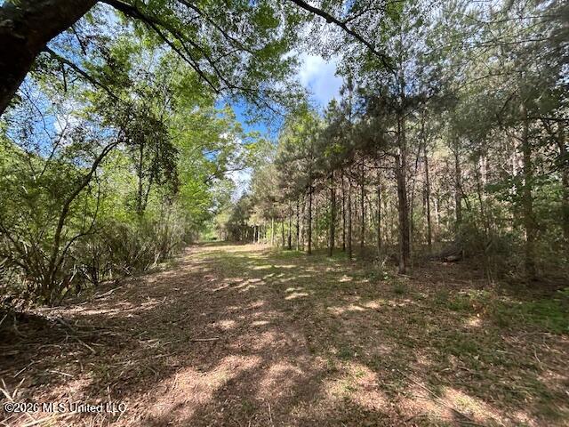 Mississippi 583 Property Photo 74