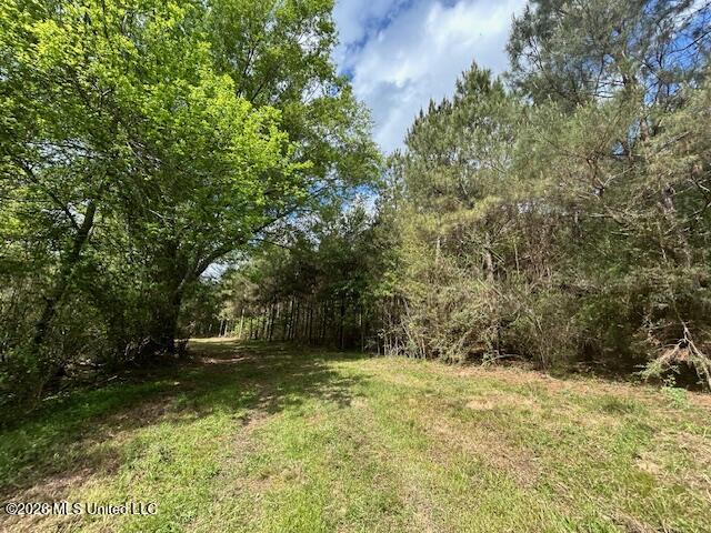 Mississippi 583 Property Photo 75
