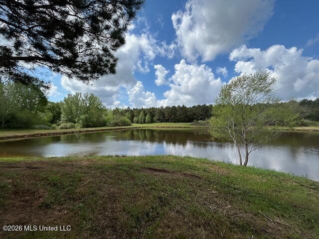 Mississippi 583 Property Photo 1