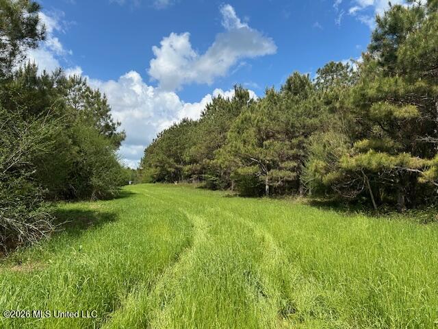 Mississippi 583 Property Photo 20