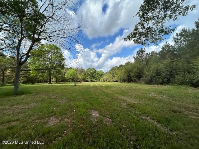 Mississippi 583 Property Photo 32