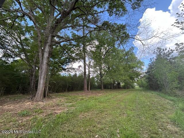 Vaniel Holmes Road Property Photo 3