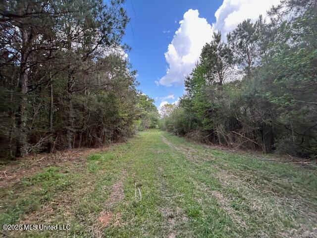 Vaniel Holmes Road Property Photo 4