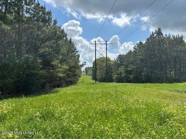 Vaniel Holmes Road Property Photo 14