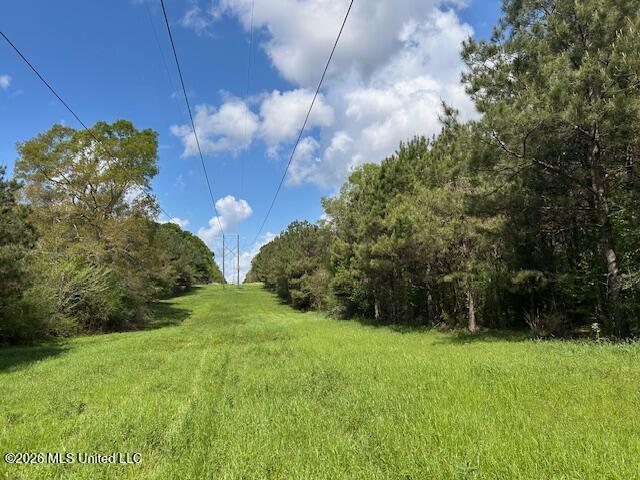 Vaniel Holmes Road Property Photo 16