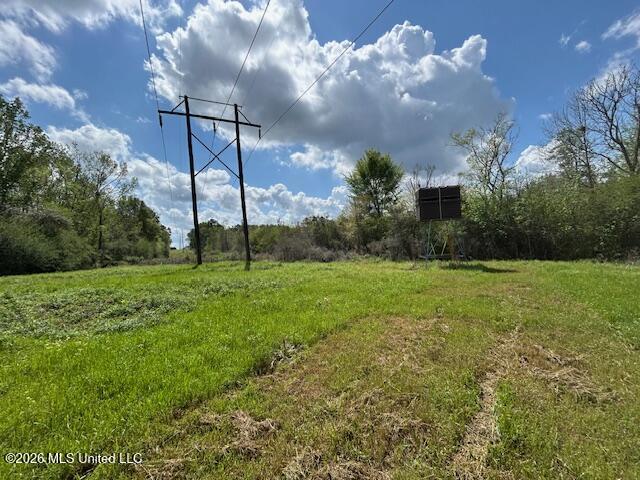 Vaniel Holmes Road Property Photo 17