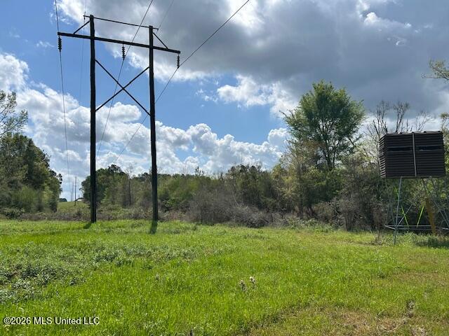 Vaniel Holmes Road Property Photo 18