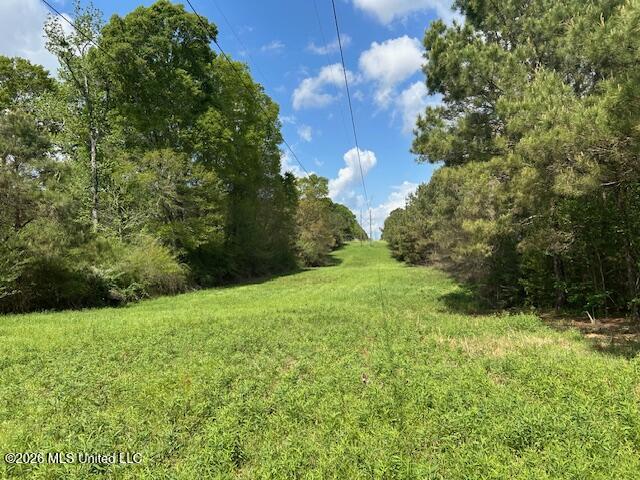 Vaniel Holmes Road Property Photo 19