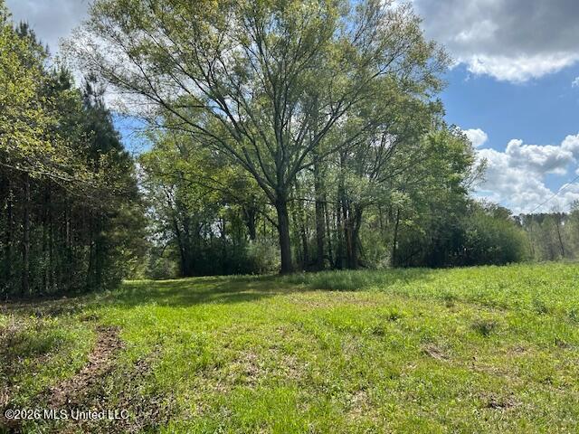 Vaniel Holmes Road Property Photo 20