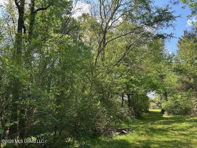 Vaniel Holmes Road Property Photo 22