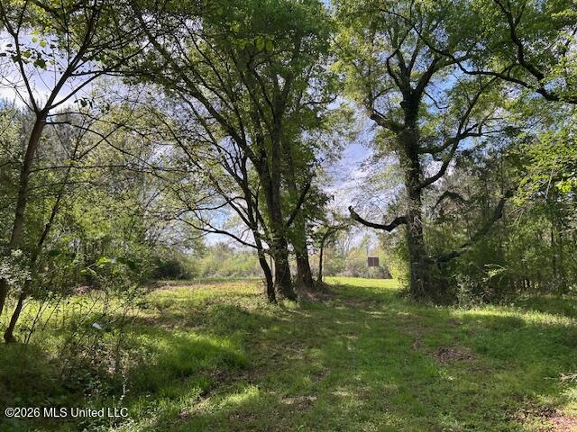 Vaniel Holmes Road Property Photo 23