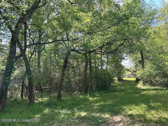 Vaniel Holmes Road Property Photo 24
