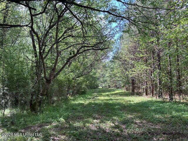 Vaniel Holmes Road Property Photo 27