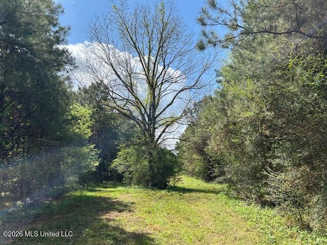 Vaniel Holmes Road Property Photo 32