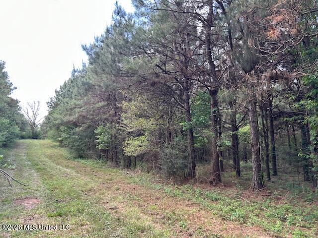 Vaniel Holmes Road Property Photo 33