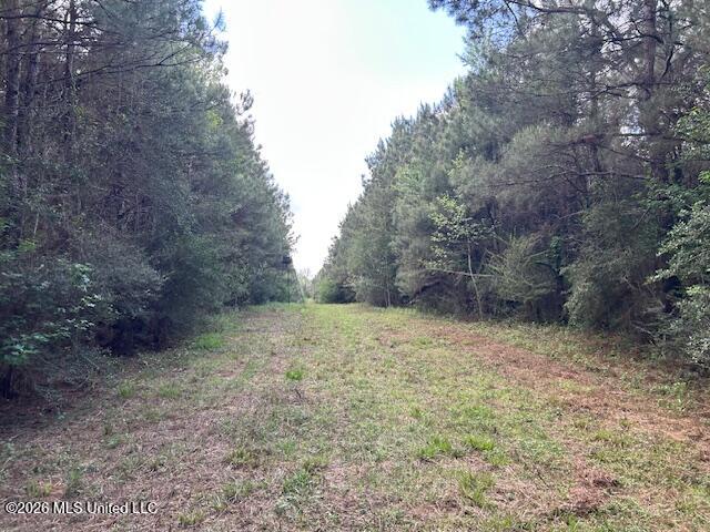 Vaniel Holmes Road Property Photo 38
