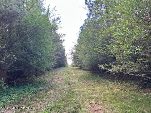 Vaniel Holmes Road Property Photo 39