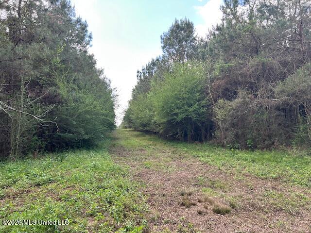 Vaniel Holmes Road Property Photo 40