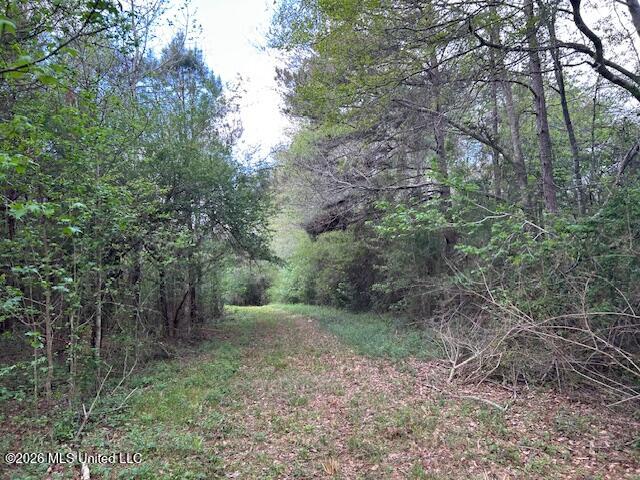 Vaniel Holmes Road Property Photo 41