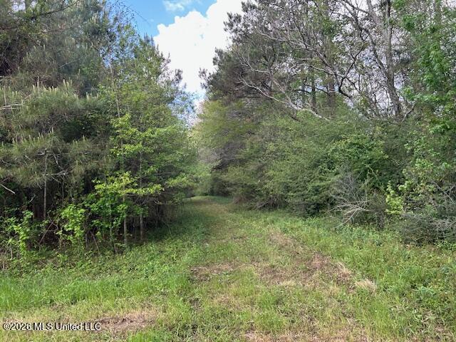 Vaniel Holmes Road Property Photo 42