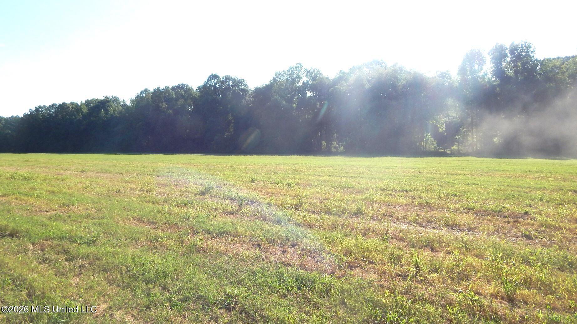 545 County Road 247 Property Photo 1