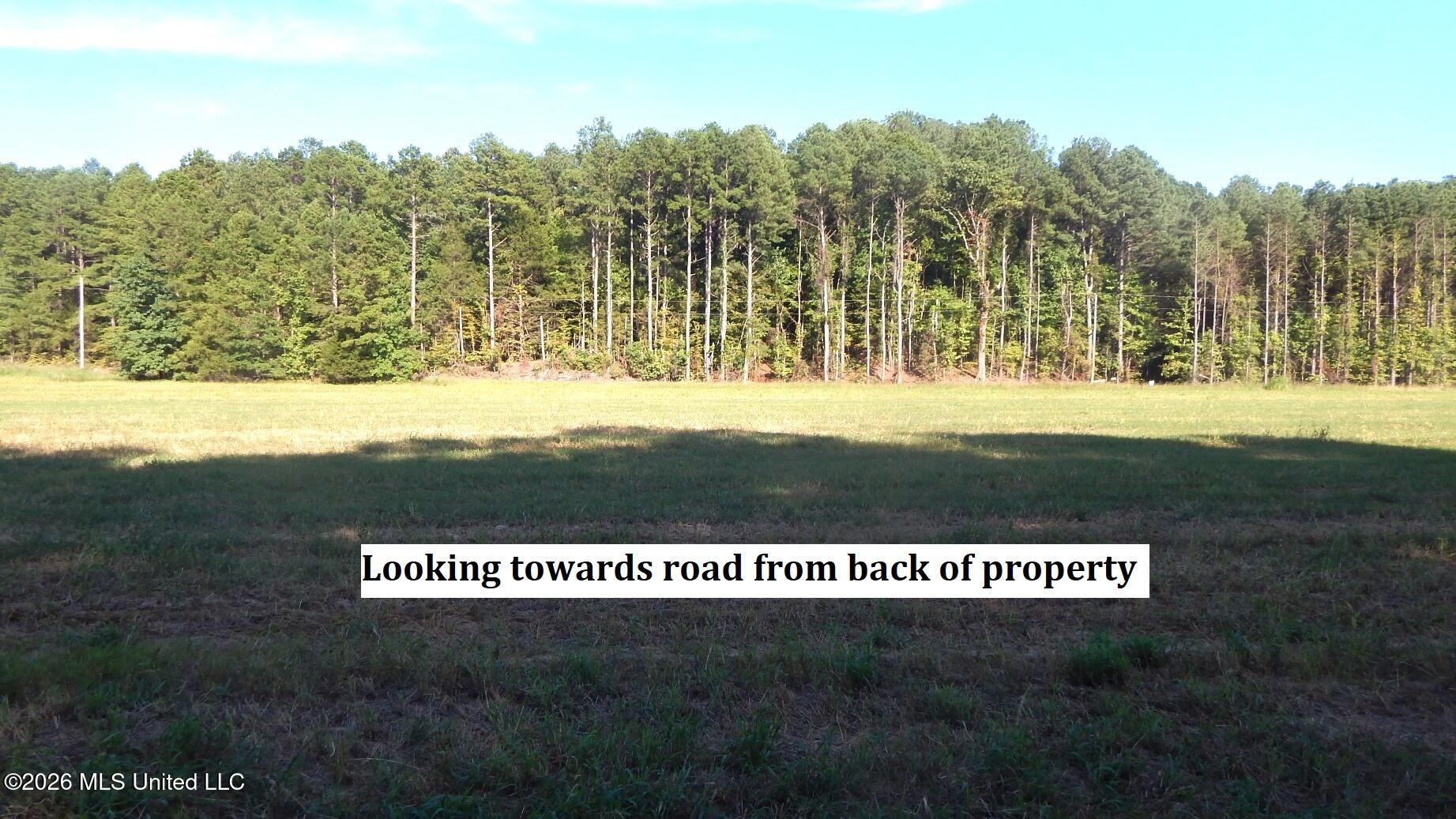545 County Road 247 Property Photo 4