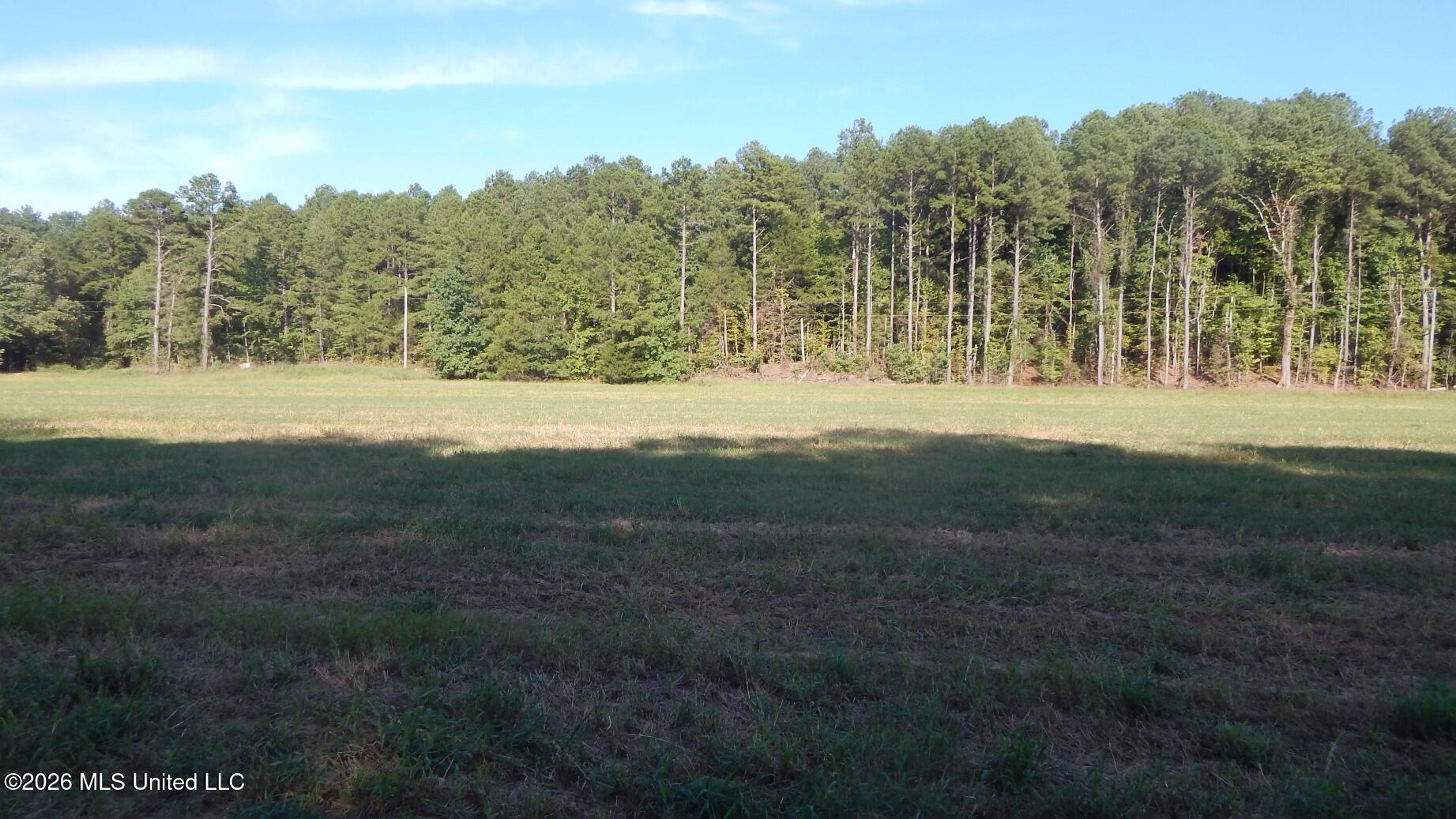 545 County Road 247 Property Photo 5