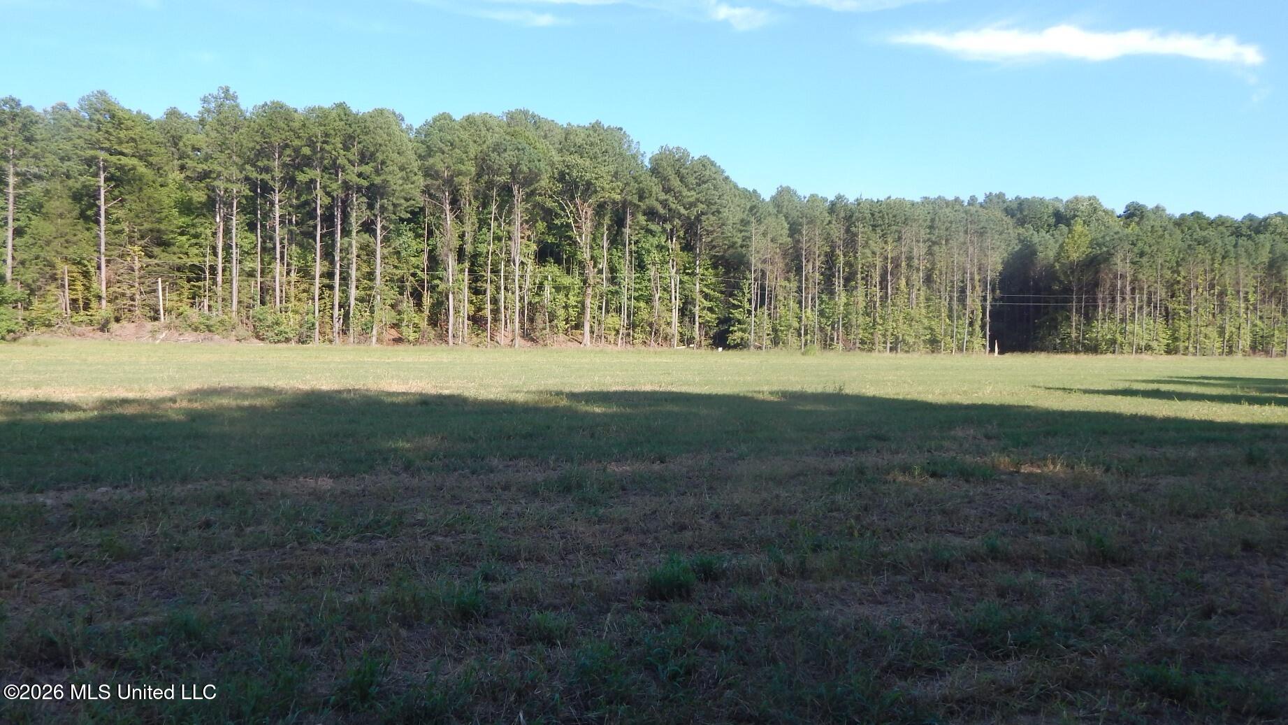 545 County Road 247 Property Photo 6