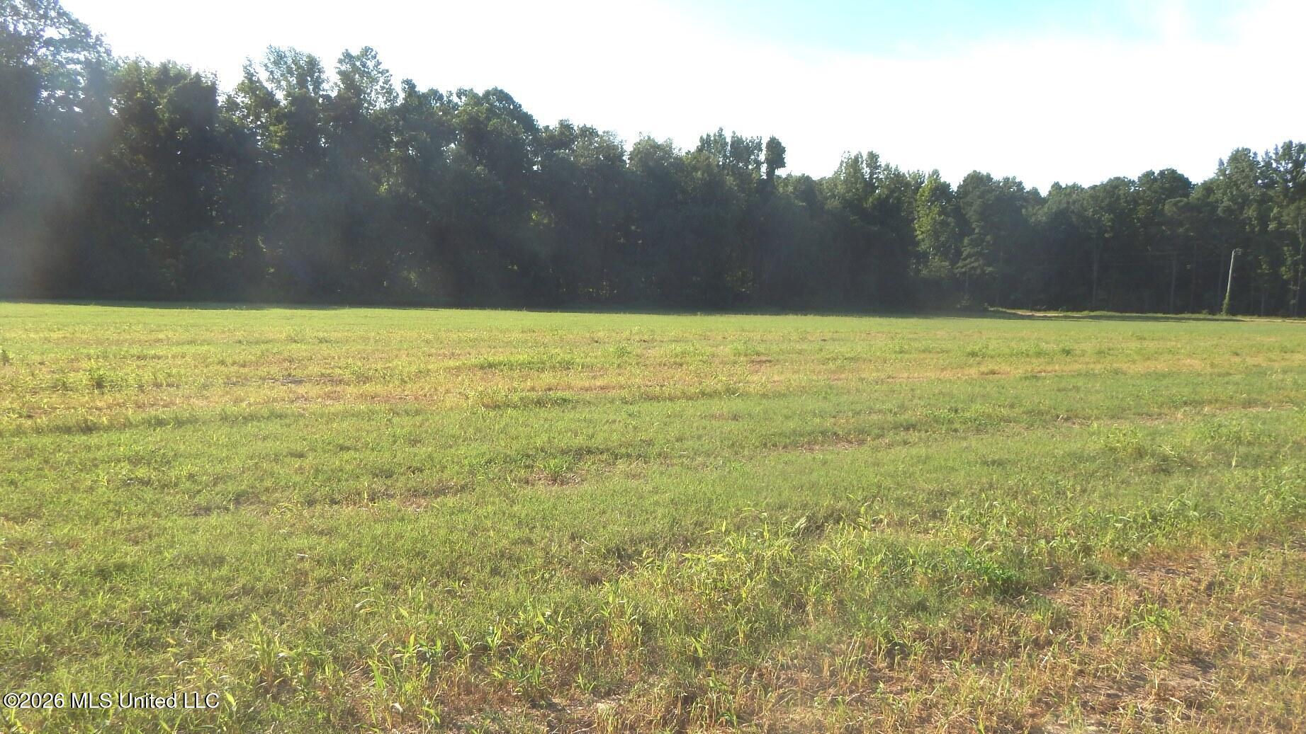 545 County Road 247 Property Photo 8