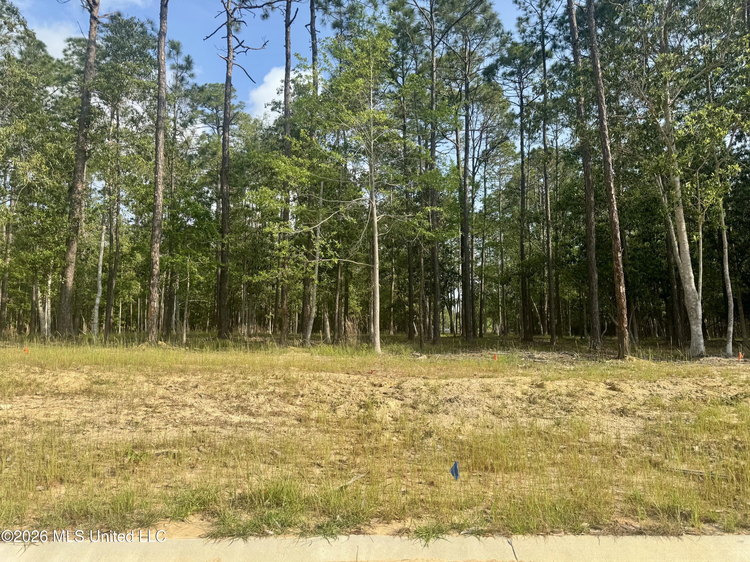Lot 36 Maluhia Drive Property Photo 3