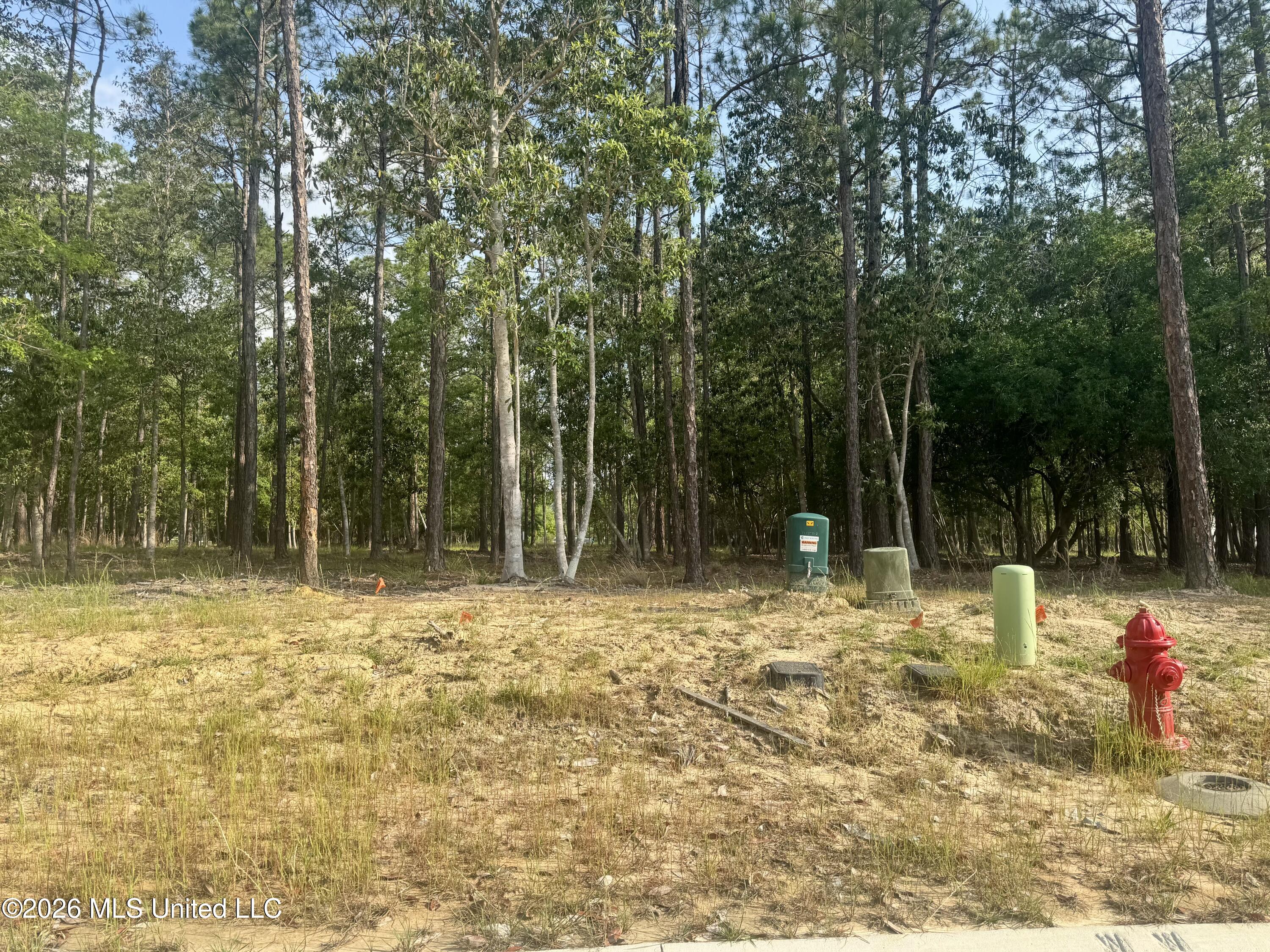 Lot 36 Maluhia Drive Property Photo 4