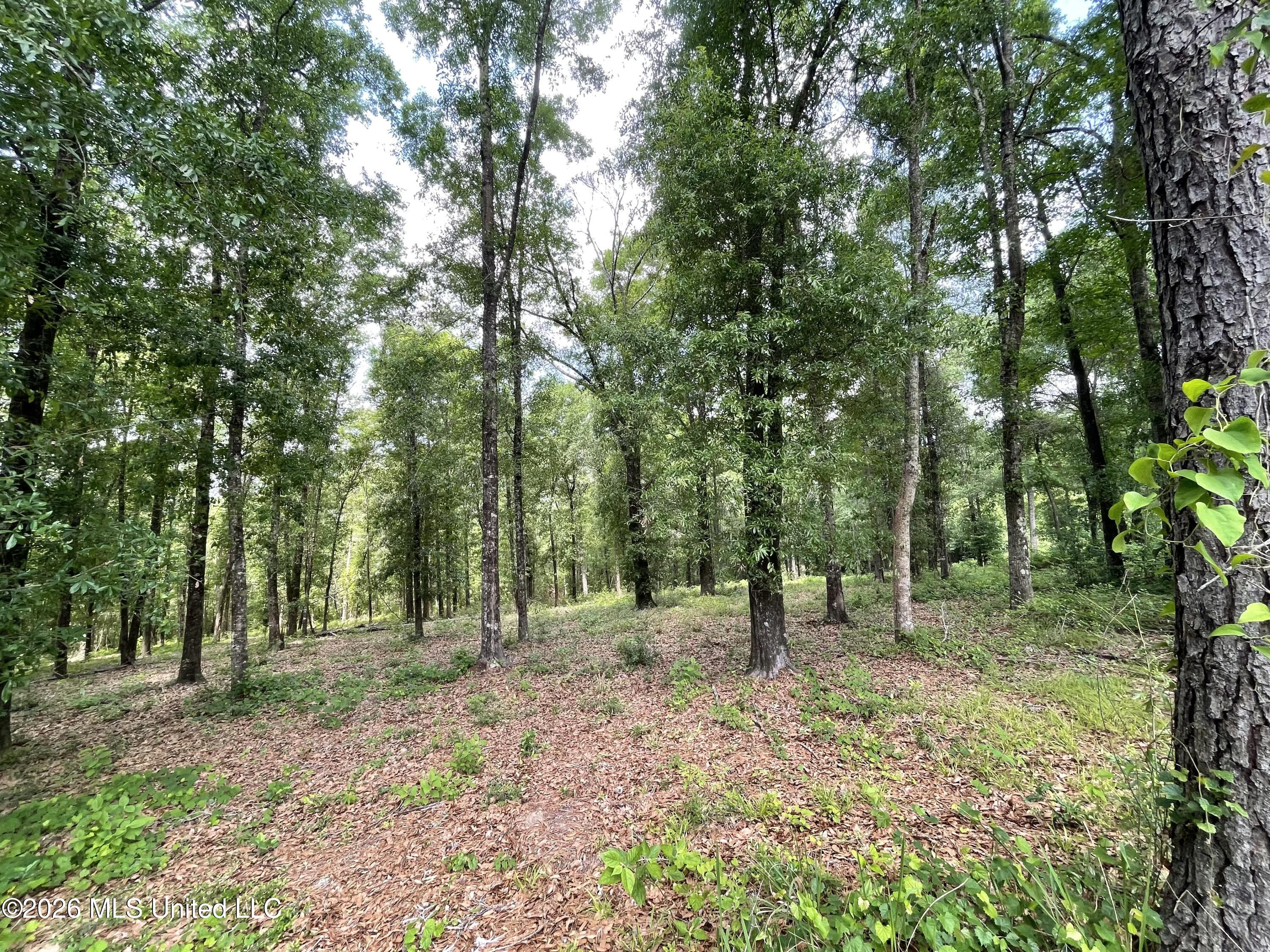 Beaver Dam Road Property Photo 5