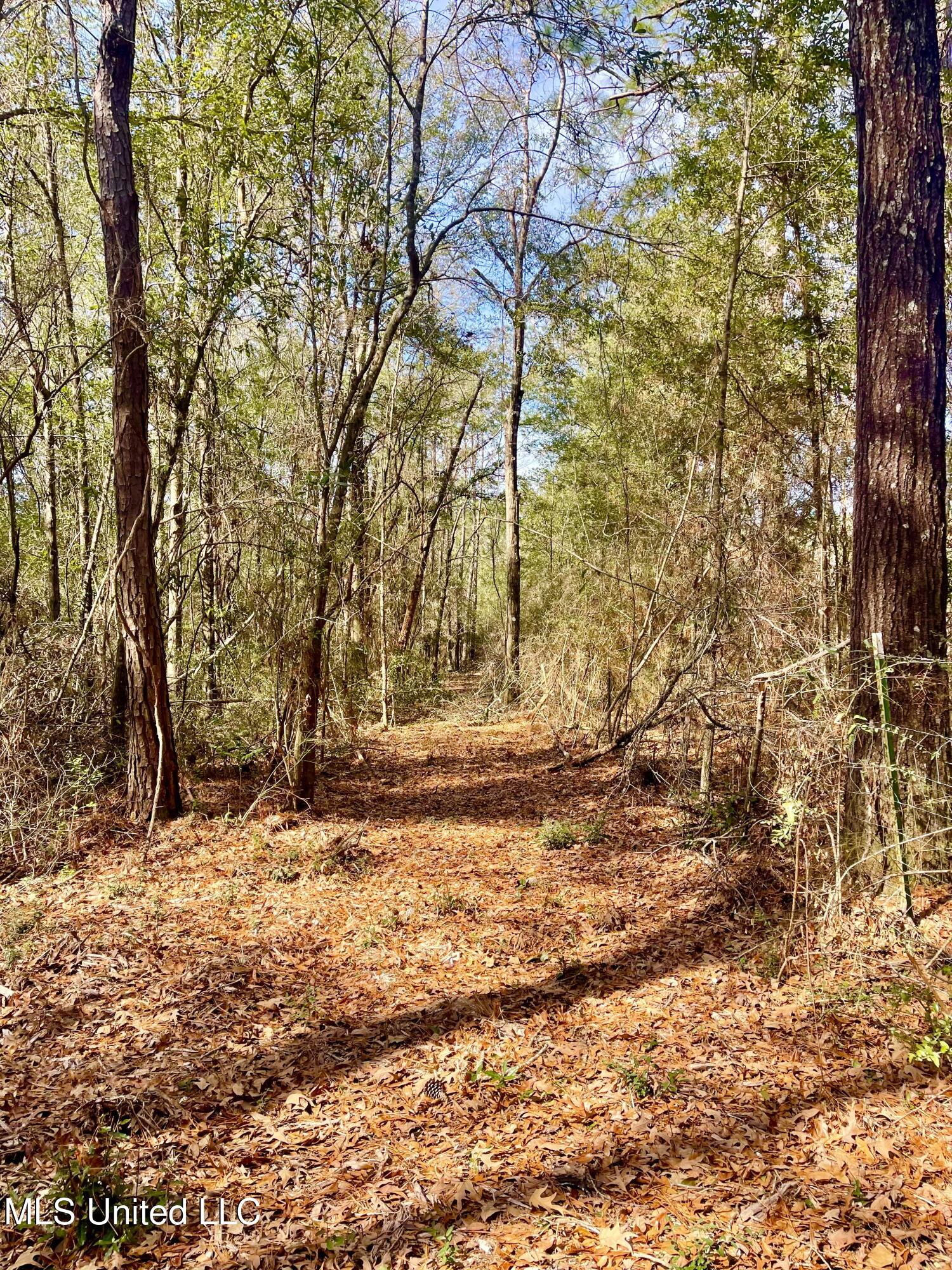 Beaver Dam Road Property Photo 7