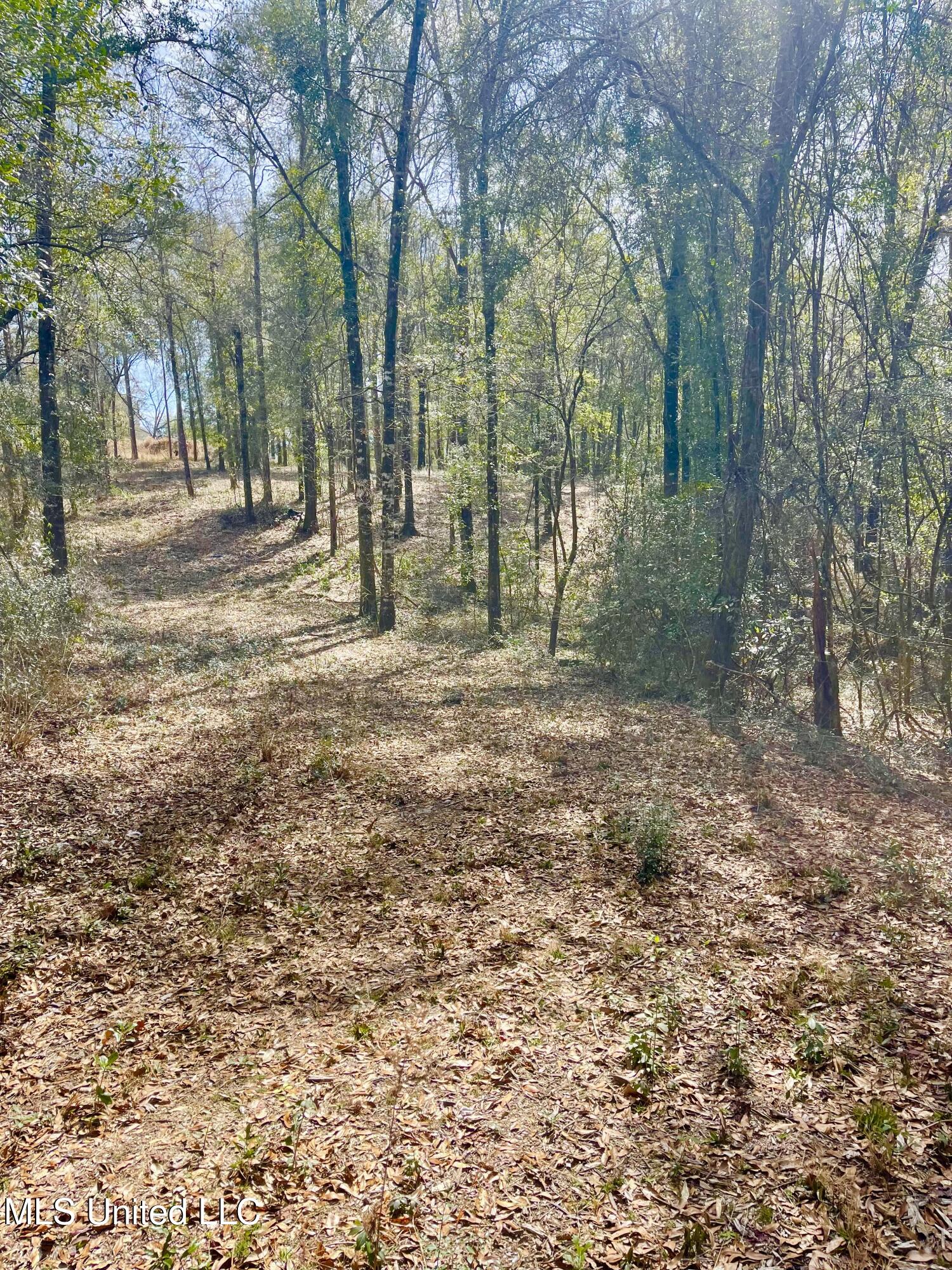 Beaver Dam Road Property Photo 8