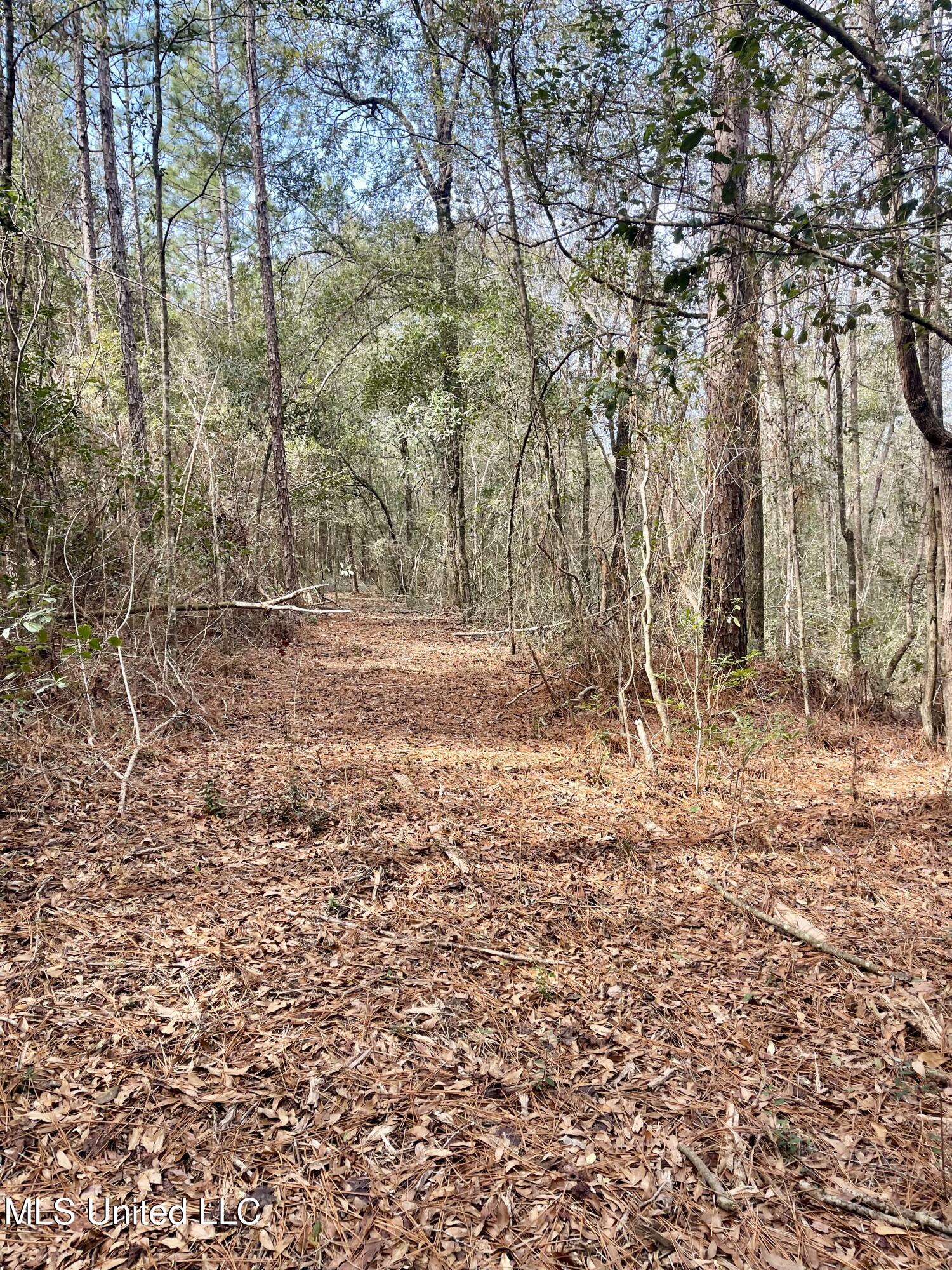 Beaver Dam Road Property Photo 9