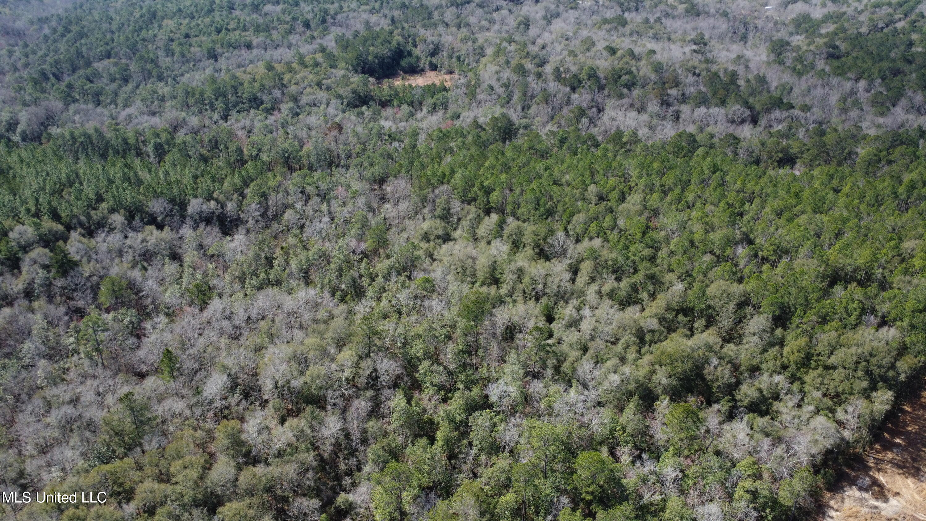 Beaver Dam Road Property Photo 12