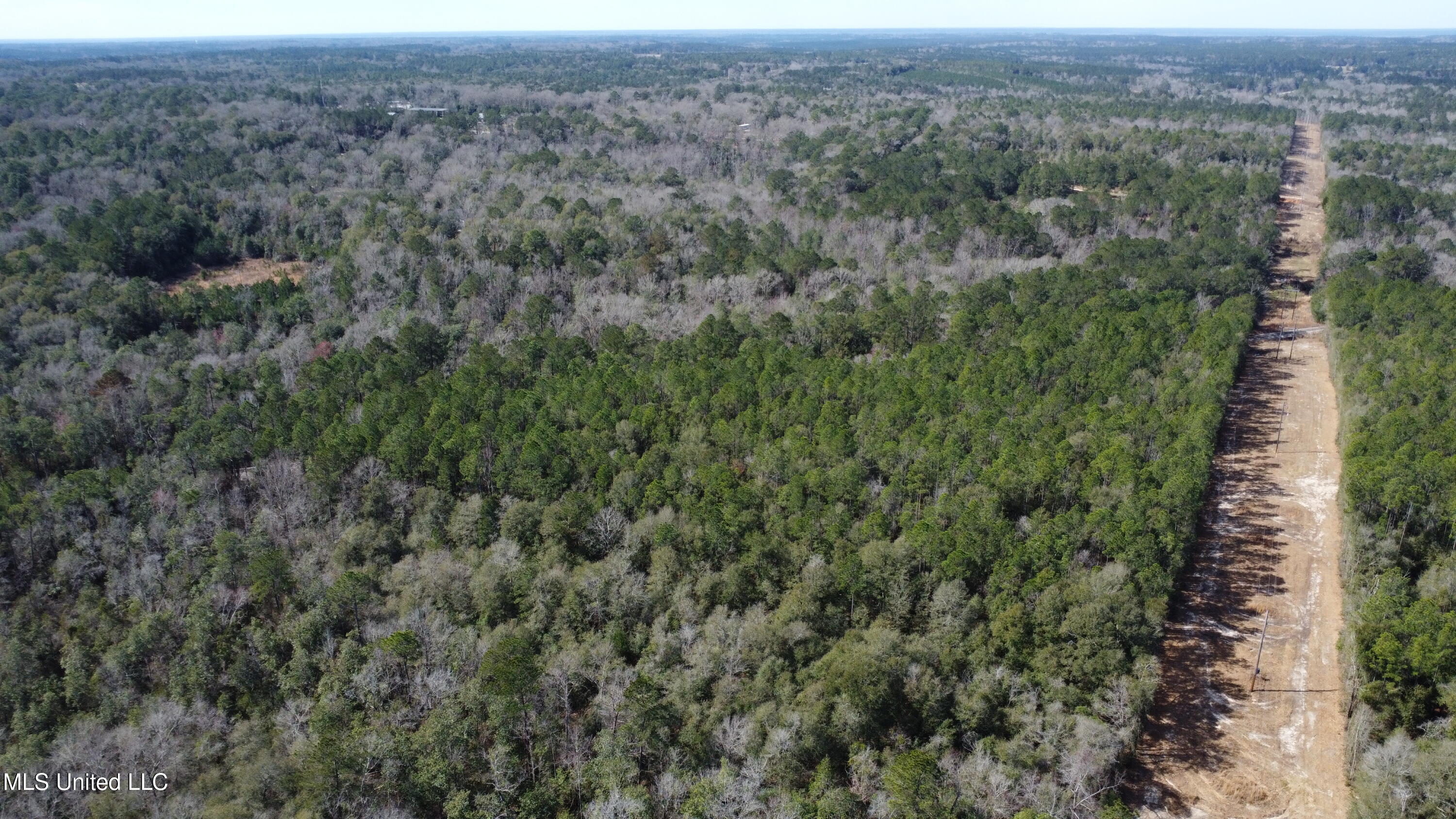 Beaver Dam Road Property Photo 13