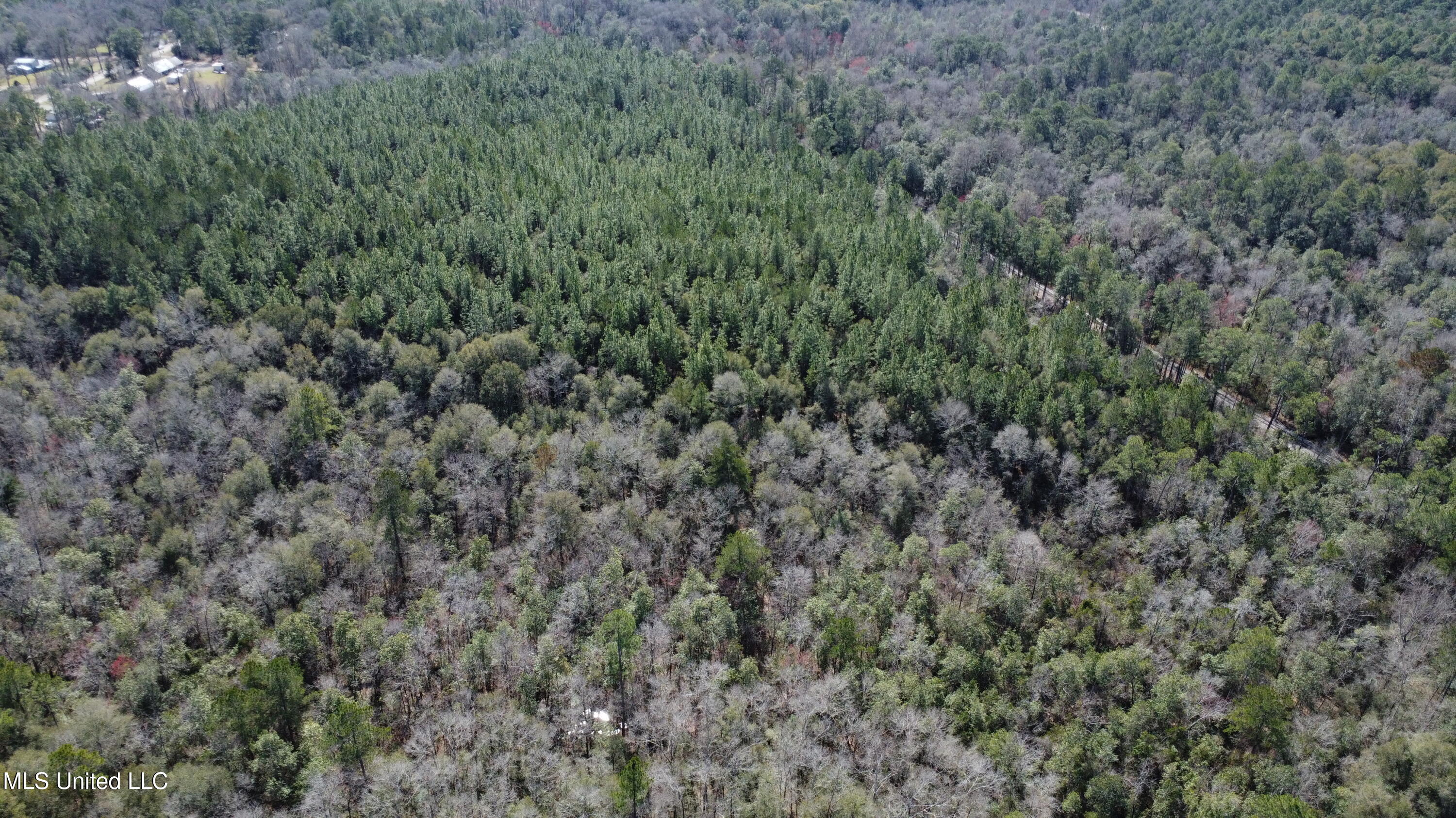 Beaver Dam Road Property Photo 14