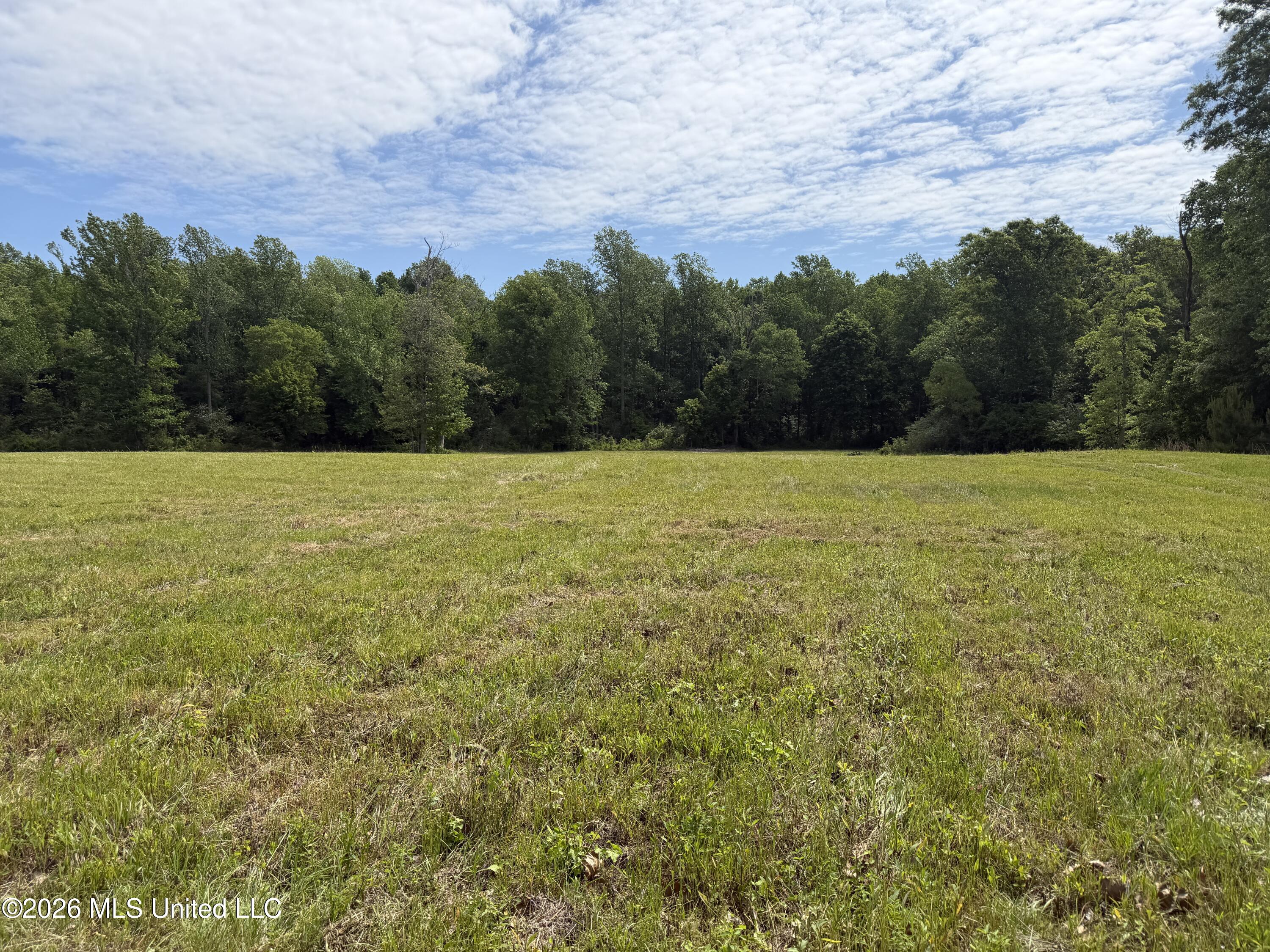 Mississippi 488 Highway Property Photo 4