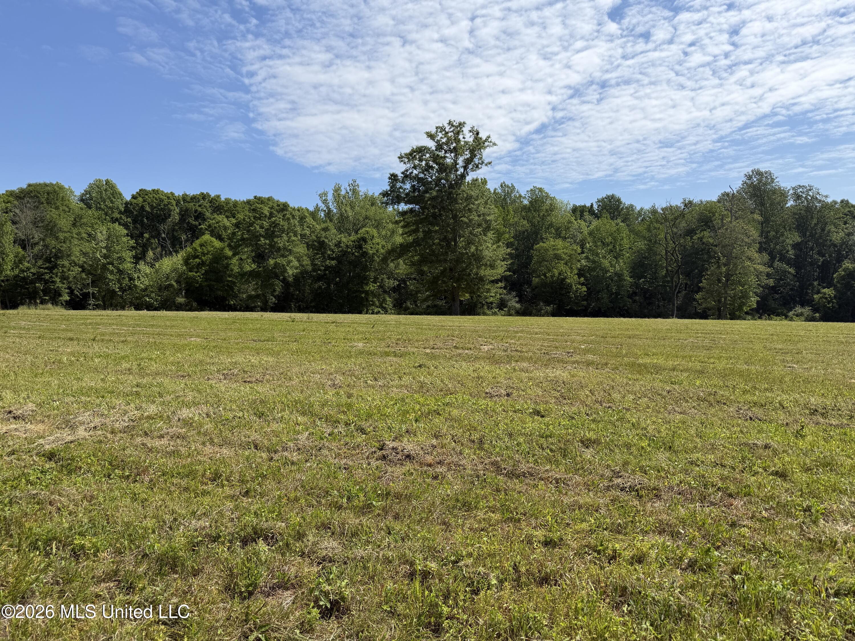 Mississippi 488 Highway Property Photo 6
