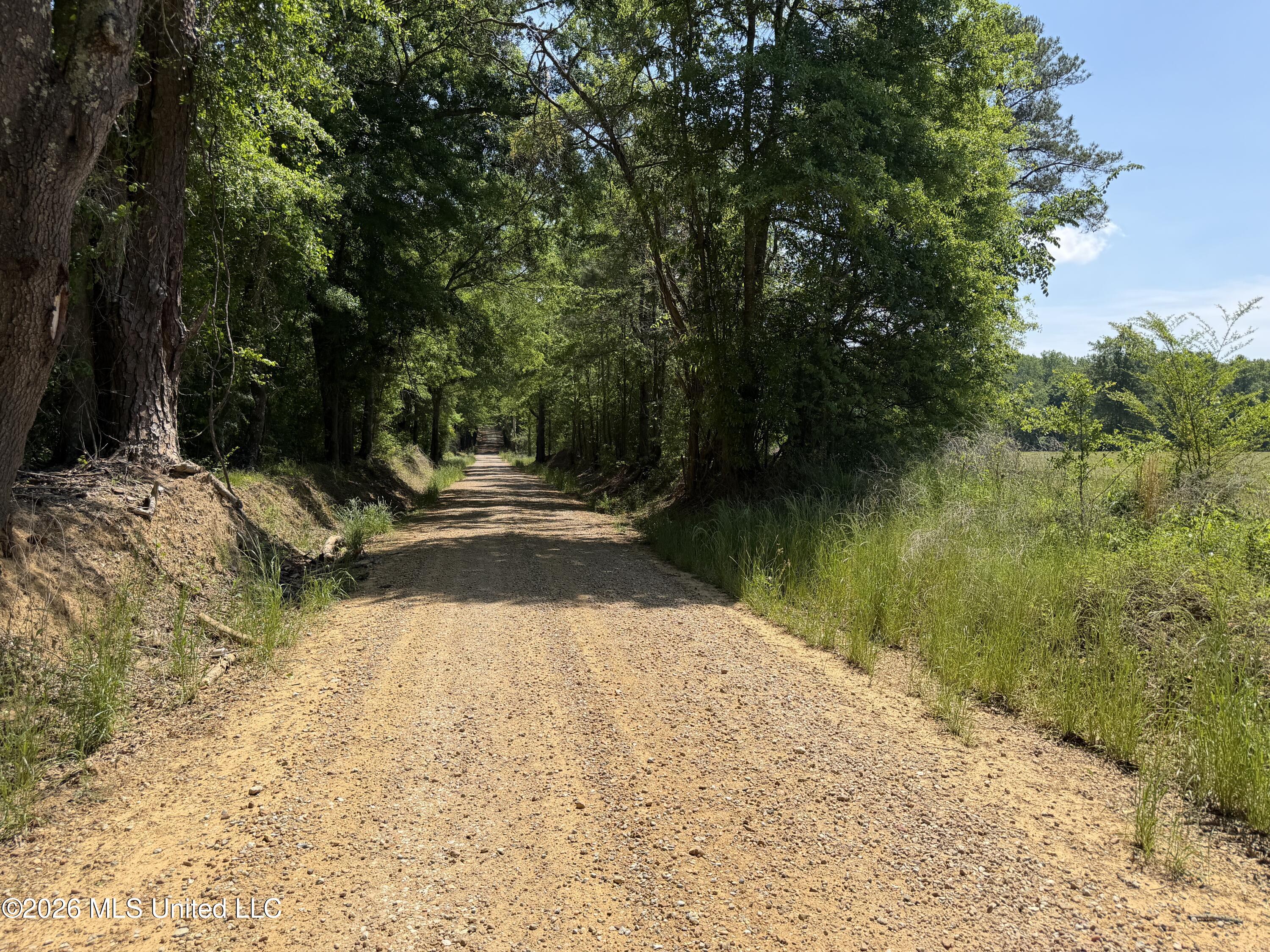Mississippi 488 Highway Property Photo 8