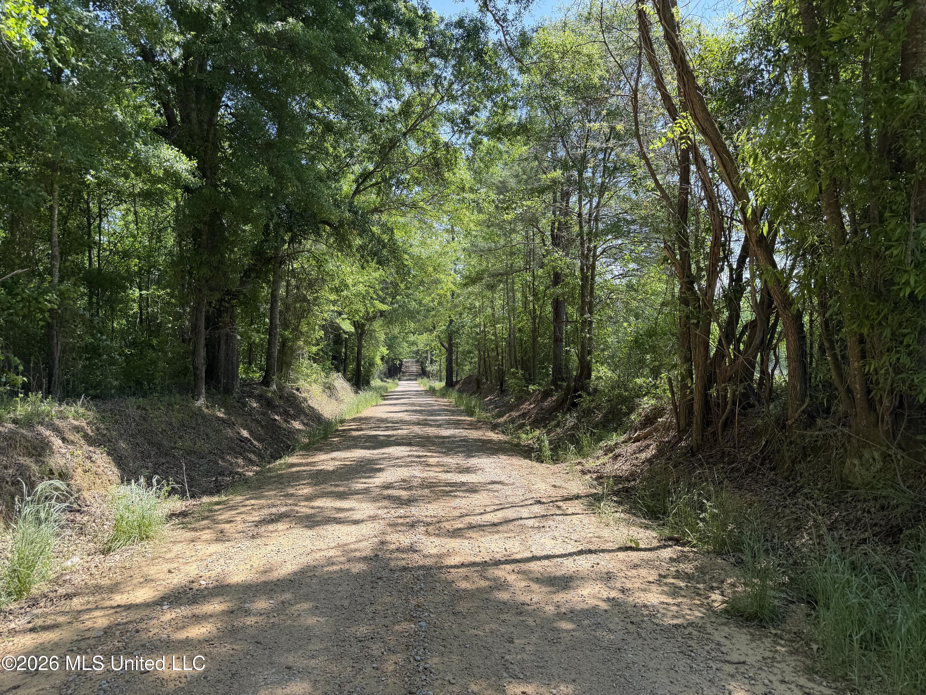 Mississippi 488 Highway Property Photo 9