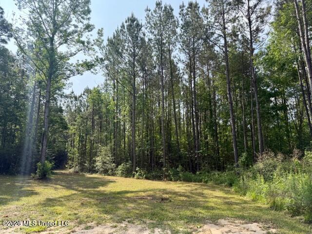 2177 Purvis Baxterville Road Property Photo 7