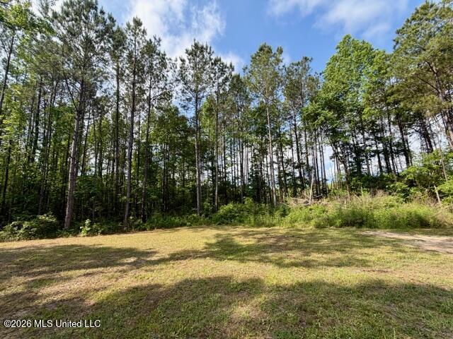 2177 Purvis Baxterville Road Property Photo 10