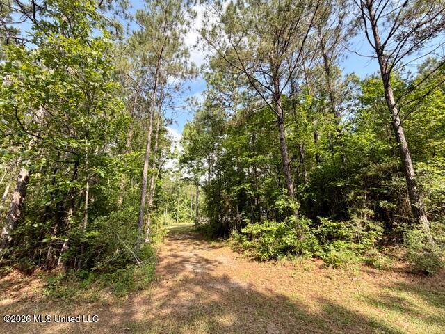 2177 Purvis Baxterville Road Property Photo 25
