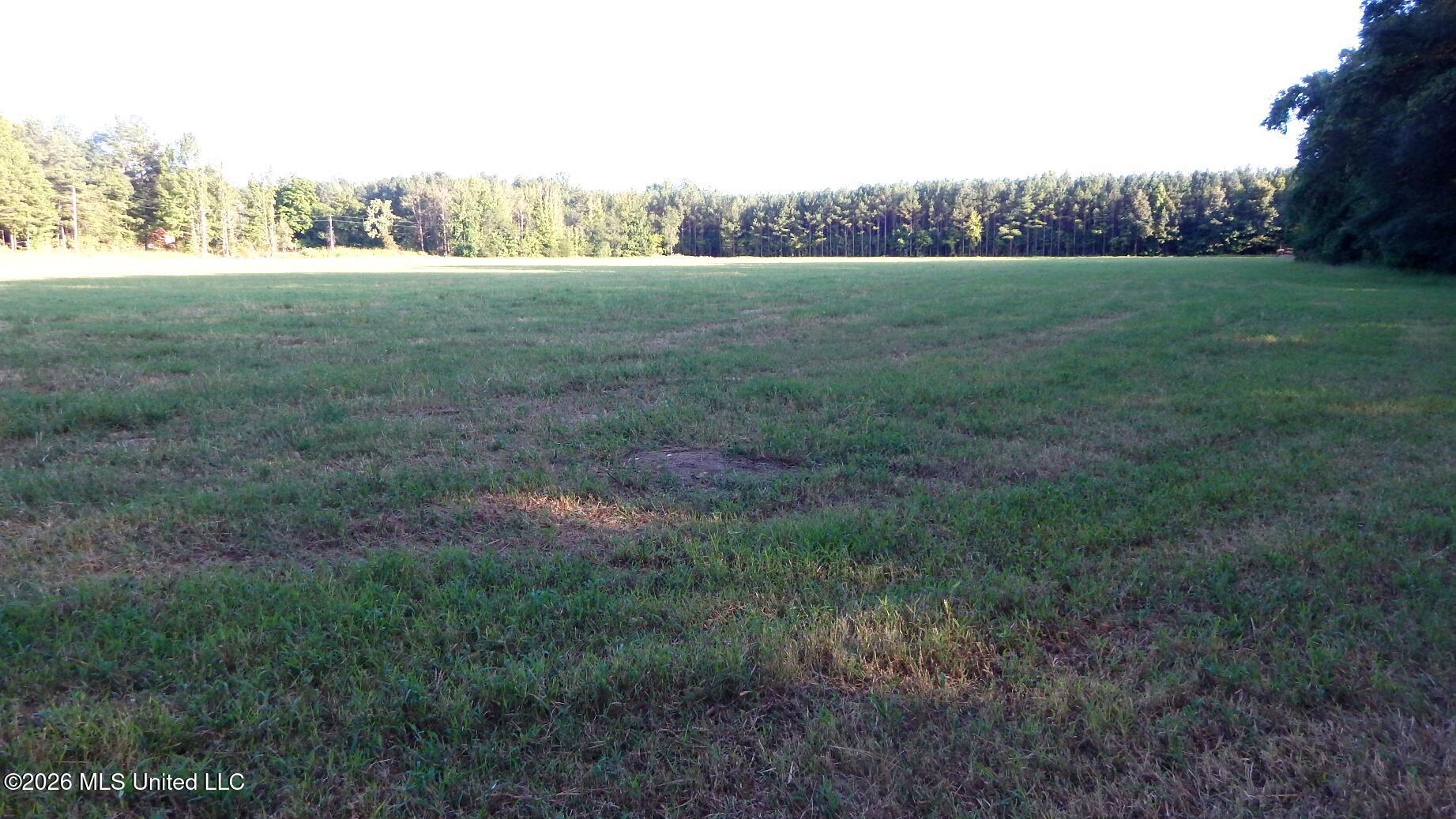 595 County Road 247 Property Photo 1