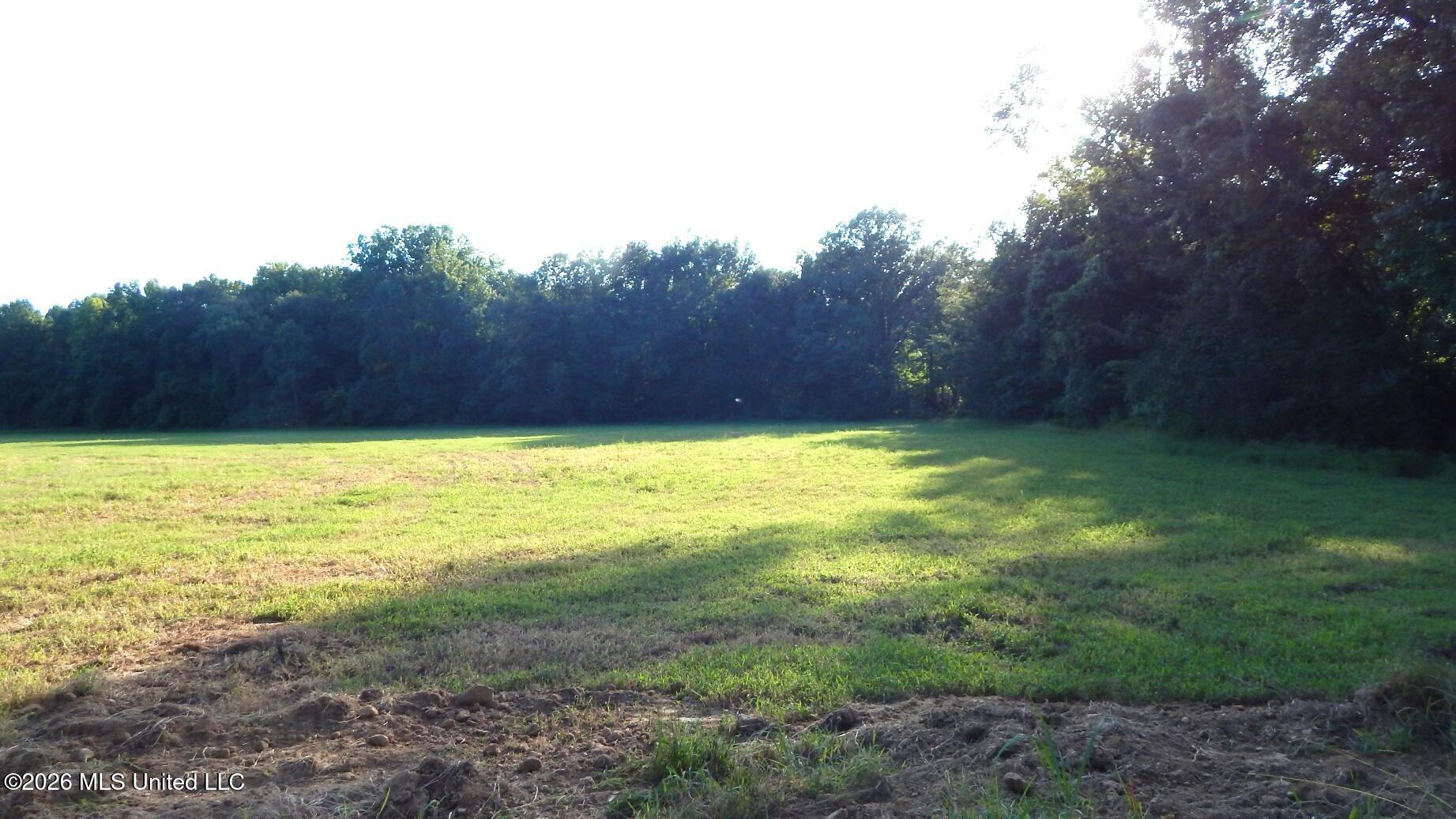 595 County Road 247 Property Photo 3