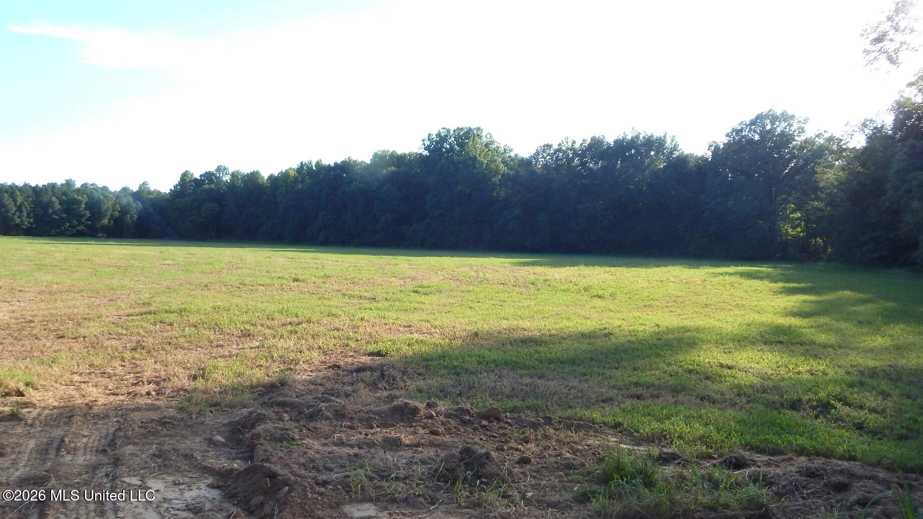 595 County Road 247 Property Photo 4